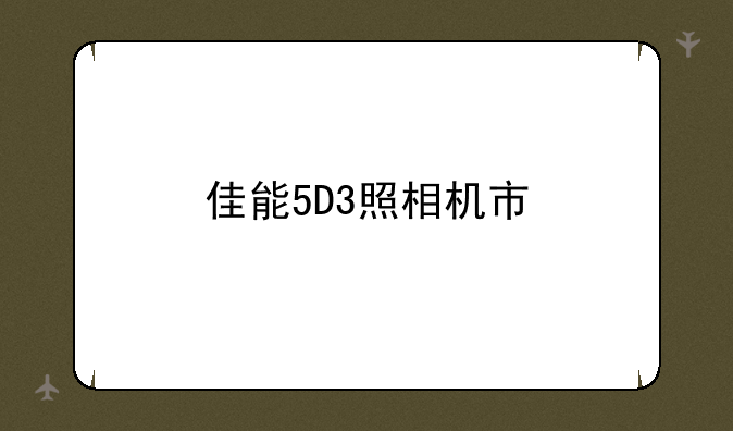 佳能5D3照相机市