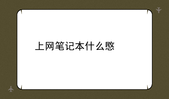 上网笔记本什么意思
