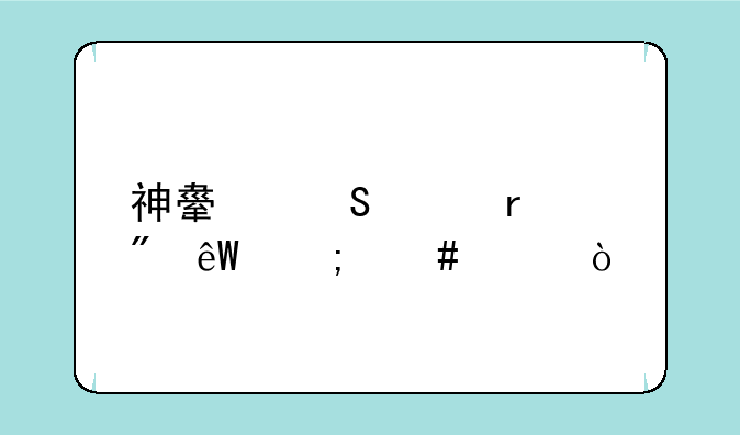 神舟笔记本到底怎么样？