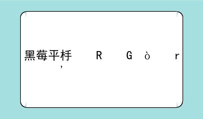 黑莓平板电脑开机选什么