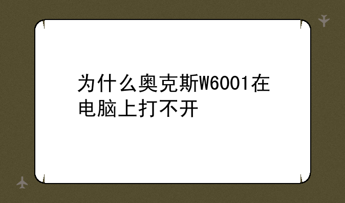为什么奥克斯W6001在电脑上打不开
