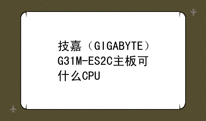 技嘉（GIGABYTE）G31M-ES2C主板可什么CPU