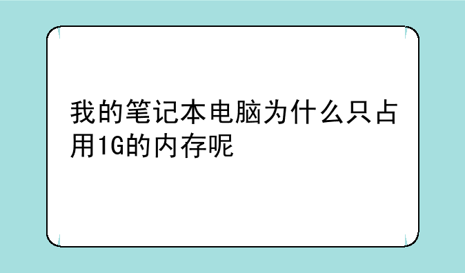 我的笔记本电脑为什么只占用1G的内存呢