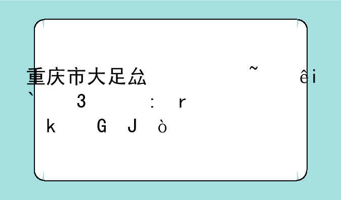 重庆市大足县诺基亚X2行货现在多少钱？