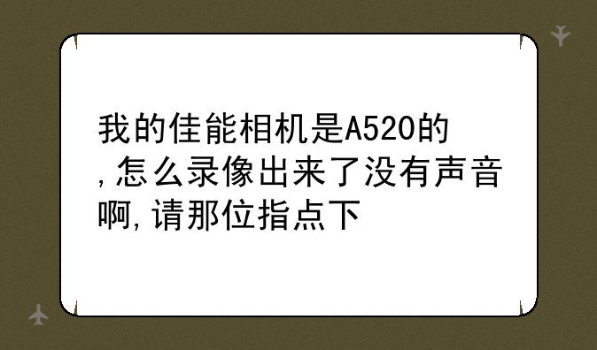 我的佳能相机是A520的,怎么录像出来了没有声音啊,请那位指点下