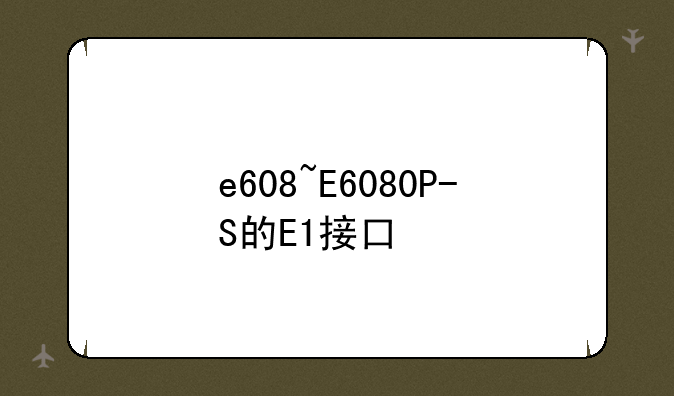 e608~E6080P-S的E1接口