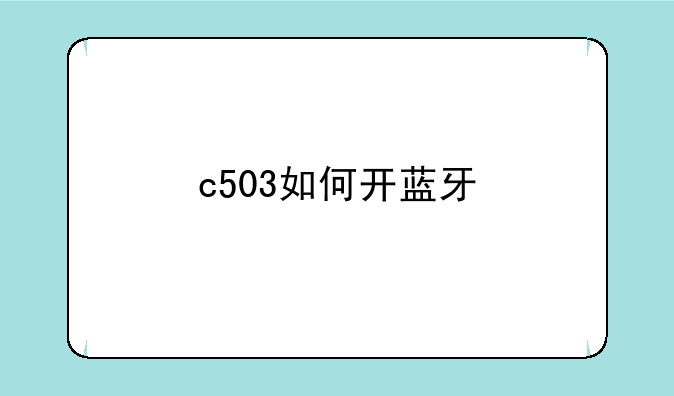 c503如何开蓝牙