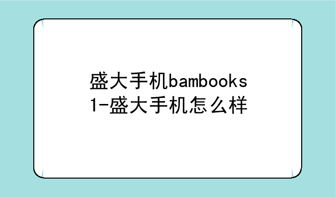 盛大手机bambooks1-盛大手机怎么样