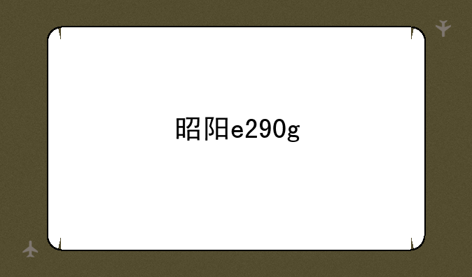 昭阳e290g