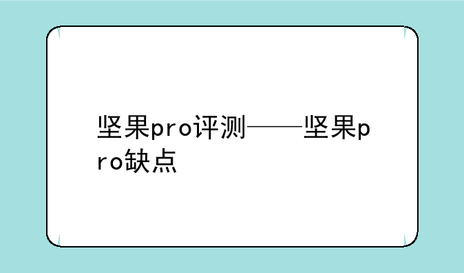 坚果pro评测——坚果pro缺点