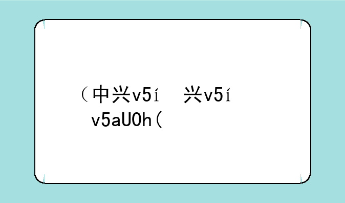 （中兴v5）中兴V50