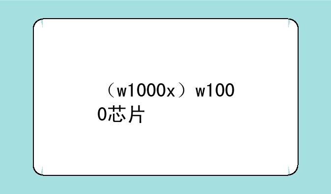 （w1000x）w1000芯片