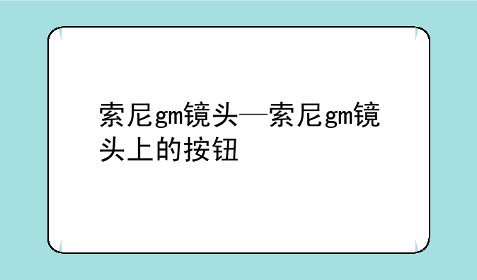 索尼gm镜头—索尼gm镜头上的按钮