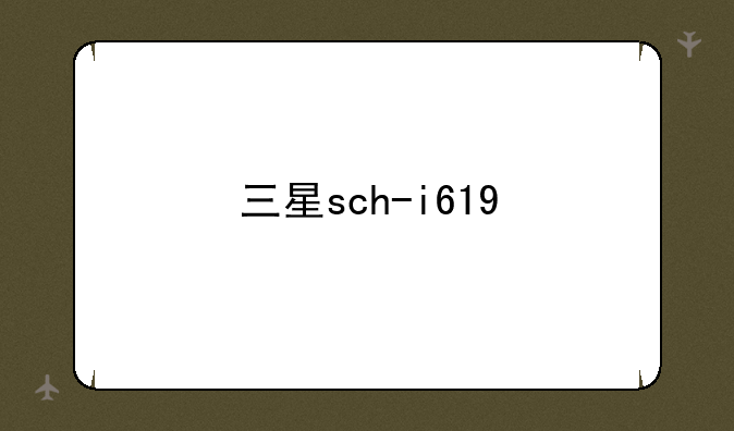 三星sch-i619