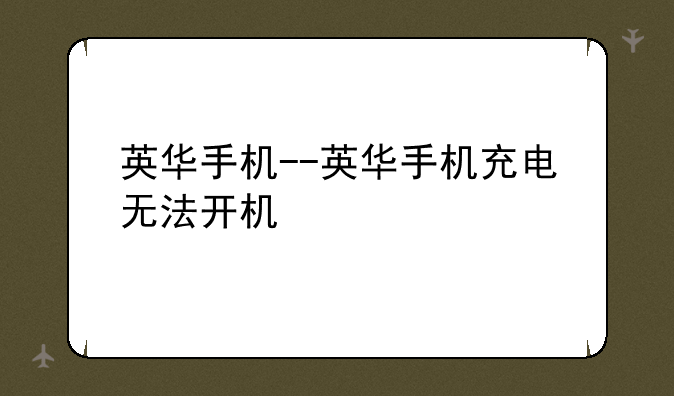 英华手机--英华手机充电无法开机