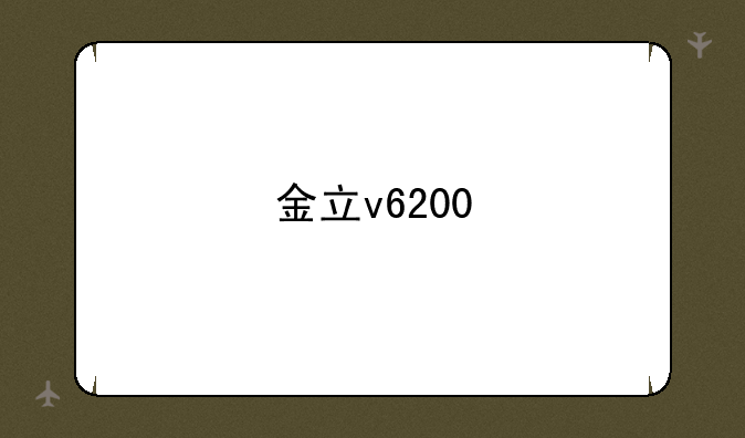 金立v6200