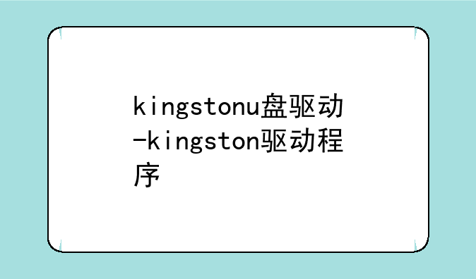kingstonu盘驱动-kingston驱动程序